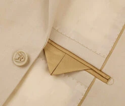 Vanderbilt Collection - Classic 2 Piece Suit 2 Buttons Regular Fit In Beige -Suit Gold Style Shop 5 2592x 9de4ccf7 d257 4aa8 ade1 b9cb368e911f