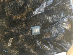 Empire Collection - Regular Fit Black And Gold With Fancy Metallic Pattern Sports Coat -Suit Gold Style Shop IMG 0578 1